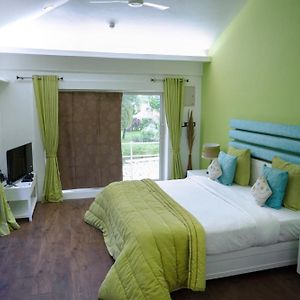 Executive Garden View Suite	